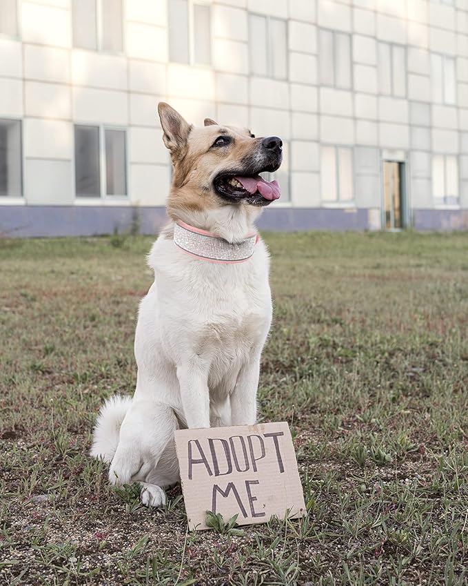 Bling Rhinestone Dog Collar Soft Comfortable Stylish Dog Collar with Bright Reflective Stripe Premium Adjustable Diamond Crystal Pet Collar for Small Medium and Large Dogs (L, Pink)
