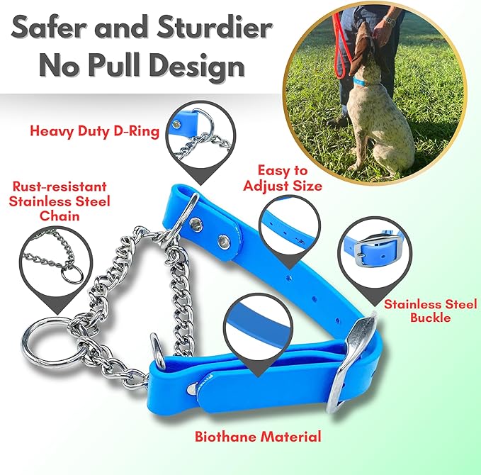 Martingale Collar for Dogs, Biothane, Stainless Steel Hardware, No Pull, Made in The USA, Professional Grade, Small, Light Blue