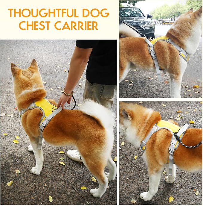 Dog Harness Adjustable Reflective Easy Control for Medium/Large Dog Harness with A Free Heavy Duty 5ft Dog Leash (Neck: 18,5"-25", Chest: 21"-27.9")(Yellow, Large)