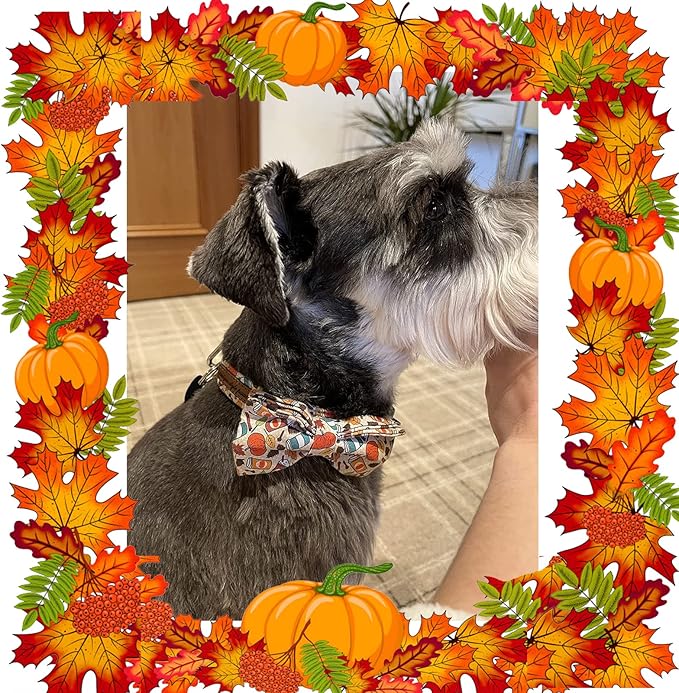 Unique Style Paws Dog Collar with Bow, Bowtie Dog Collar Adjustable Collars for Small Medium Large Dogs and Cats