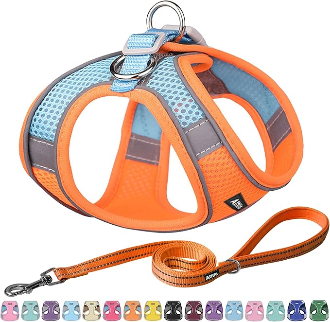 AIITLE Small Harness for Puppy with A Leash - Spring Dog Vest Harness with Super Breathable Mesh, Reflective No-Pull Pet Harness for Outdoor Walking, Camping for Small Dogs, Cats Orange XXS