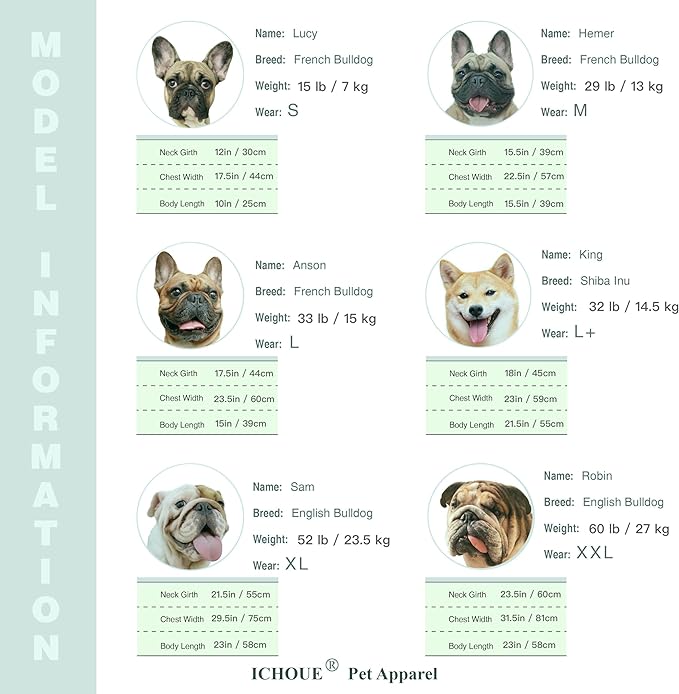 iChoue I am a French Bulldog Bumble Bee Costumes Clothes Hoodies Shirts Vest for Small Dogs Cold Weather Winter Coats Frenchie English Pug Pitbull Boston Terrier - Green Purple, Medium