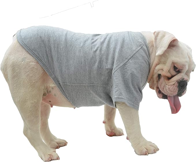 Lovelonglong Bulldog Clothes Dog Clothing Blank T-Shirt Tee Shirts for French Bulldog English Bulldog American Pit Bull Pugs 100% Cotton Skin Care Gray B-XL