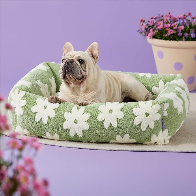 Lesure Cute Dog Bed for Medium Dogs - Washable Pet Beds,Cozy Rectangle Orthopedic Sofa with Jacquard Shaggy Plush & Anti Slip Bottom,30x24x8inches