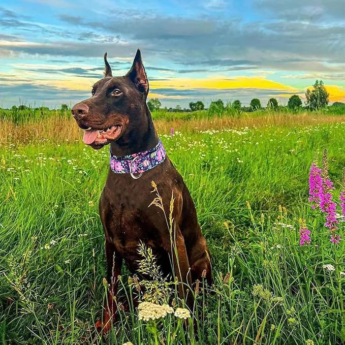 Martingale Dog Collar 1.5 Inch Wide - Bohemian Floral Print Adjustable Nylon No-Pull Training Collar for Medium/Large/XL Dogs, Heavy Duty Design for Walking, Hunting & Outdoor Activities (M)