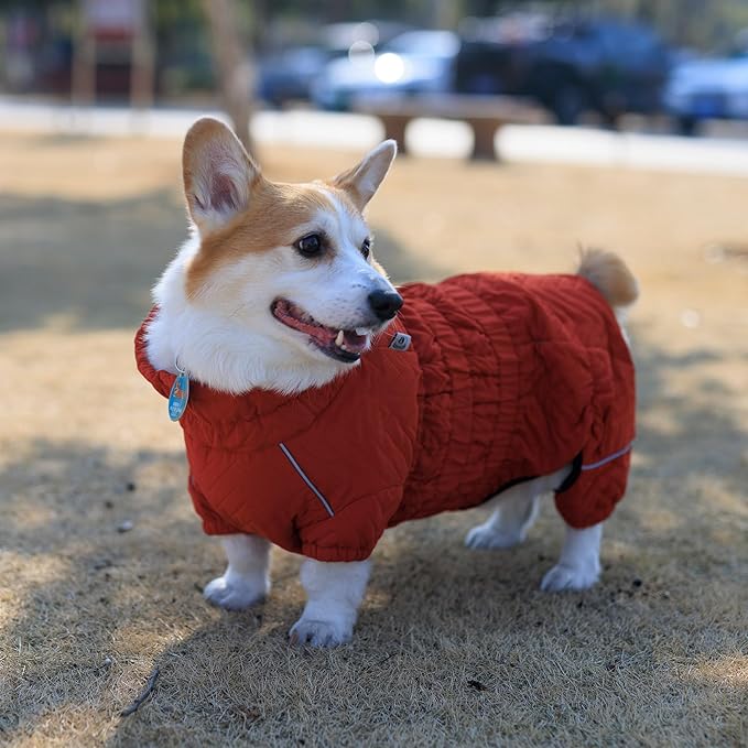 Lovelonglong Warm Dog Coat Double Layers Dog Vest, 4 Legs Covered Windproof Waterproof Reflective Warm Dog Vest Outdoor Skating Dog Costume for Corgis Dachshund Dog Orange D-S