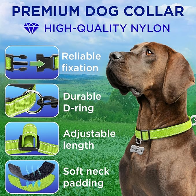 TECEUM Reflective Pet Collar – Acid Green – XL – Extra Soft Padding – Basic Nylon Dog Collar – Quick Release Buckle – Fits Small, Medium and Large Dogs, Puppies, Cats – ESA & Service Dog Options