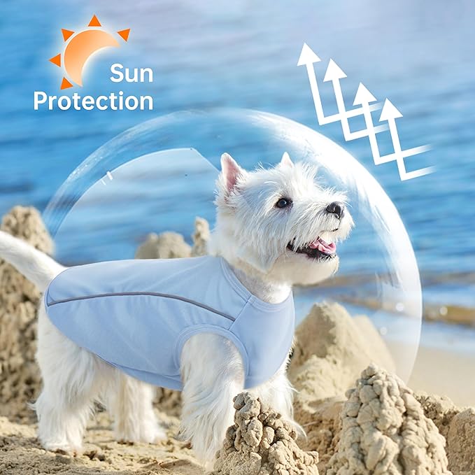 PUMYPOREITY 2Pack Dog Shirt for Small Dogs with Reflective Strip Safety for Night Walking, Soft Breathable Stretchy Tank Top Vest, Lightweight Stretchy Puppy Shirt, Blue, S