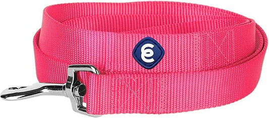 Blueberry Pet Essentials 19 Colors Durable Classic Dog Leash 5 ft x 3/4", French Pink, Medium, Basic Nylon Leashes for Dogs