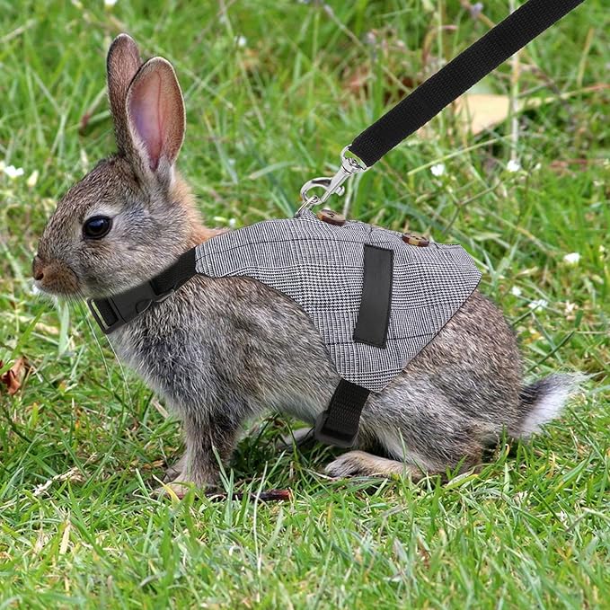 Rabbit Vest Harness and Leash Set Adjustable Formal Suit Style for Bunny Kitten Small Animal Walking (L)