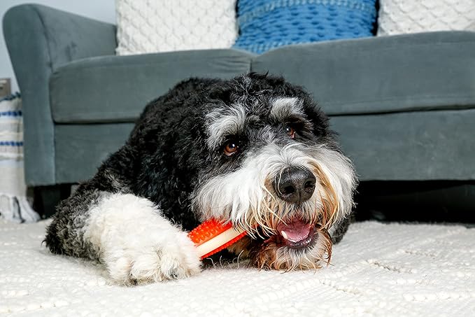 Hartz Chew 'n Clean Tuff Bone Tough Dog Chew Toy, Large 3 Pack