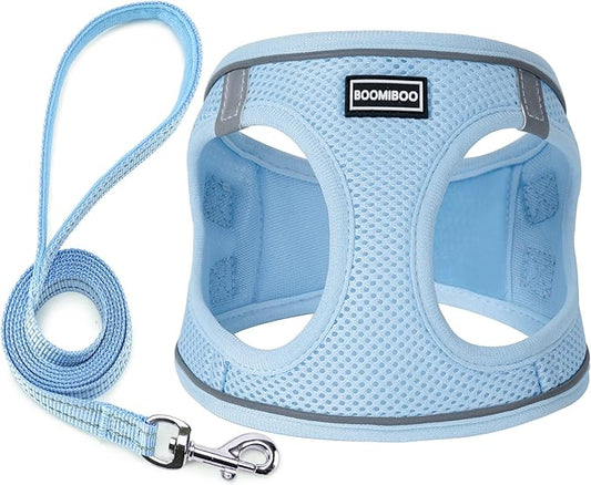 Dog Harness with Leash Set, No Pull Adjustable Reflective Step-in Puppy Pet Vest Harnesses for Small Medium Large Dogs and Cats,Sky Blue L
