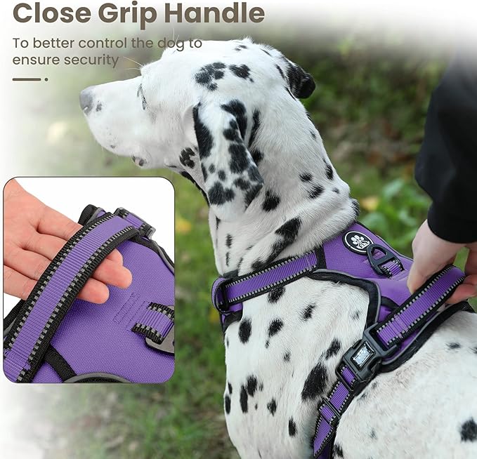 FURRYFECTION Dog Harness | No Pull Dog Harness | Reflective Oxford | Padded Handle | 4 Adjustable Straps | 2 Leash Clips | No Choke Pet Vest Harness for Small Medium Large Dogs | Purple | XL