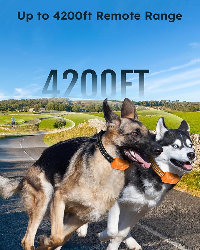 Jugbow Dog Shock Collar 2 Dogs (10-120Lbs) - 4200FT Dog Training Collar with Remote Control, IPX8 Waterproof Rechargeable E Collars for Large Medium Small Dog