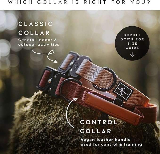 Made to ROAM Premium Explorer Control Collar - Adjustable Heavy Duty Nylon Dog Collar with Quick-Release Metal Buckle and Handle (Colorado Nightsky, Control Size 4)