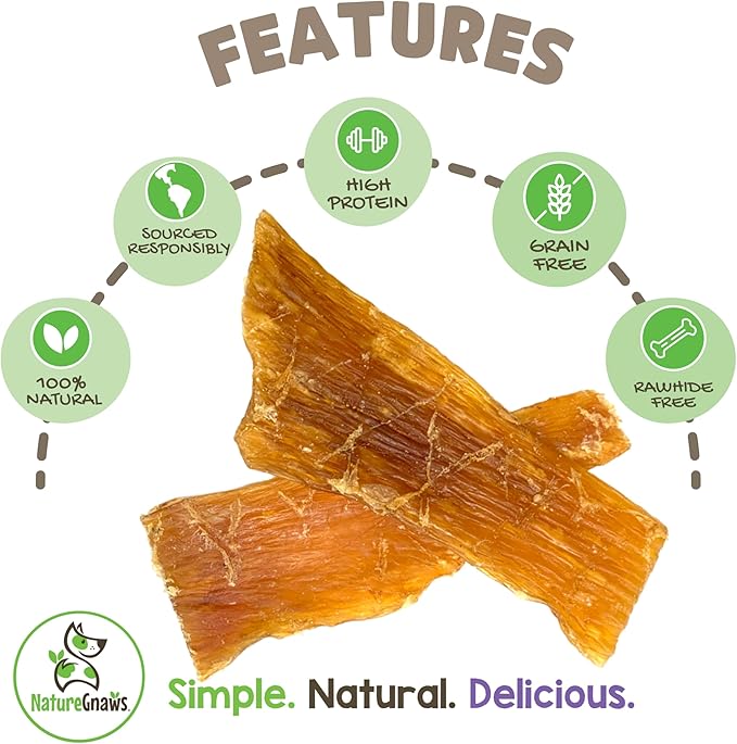 Nature Gnaws Beef Paddywack Tendons for Dogs 5-6" (10 Count) - Long Lasting for Aggressive Chewers - Natural Beef Dog Chew Bones - Rawhide Free