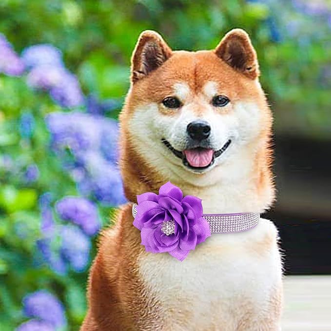 PET ARTIST Sparkling Rhinestone Dog Collar with Cute Flower, Soft Suede Leather Female Dog Collar, Bling Girl Pet Collars for Small Puppy Dogs Walking Party Wedding,S