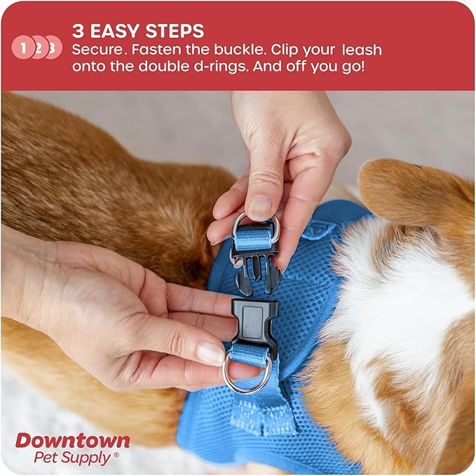Downtown Pet Supply Step in Dog Harness for Teacup Dogs & Cats No Pull, XX-Small, Cobalt - Adjustable Harness with Padded Mesh Fabric and Reflective Trim - Buckle Strap Harness for Dogs