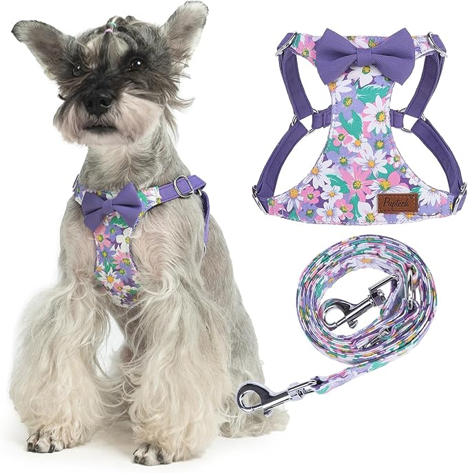 PUPTECK Dog Harness and Leash Set Small Sized, Step-in Cute Puppy Harness, Soft Lightweight Padded Vest, Escape Proof No Pull Pet Harnesses Easy for Walking, Flower Purple, M