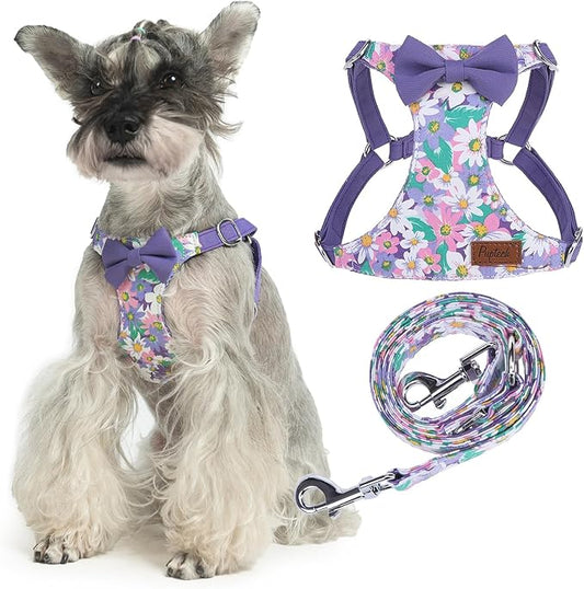 PUPTECK Dog Harness and Leash Set Small Sized, Step-in Cute Puppy Harness, Soft Lightweight Padded Vest, Escape Proof No Pull Pet Harnesses Easy for Walking, Flower Purple, S