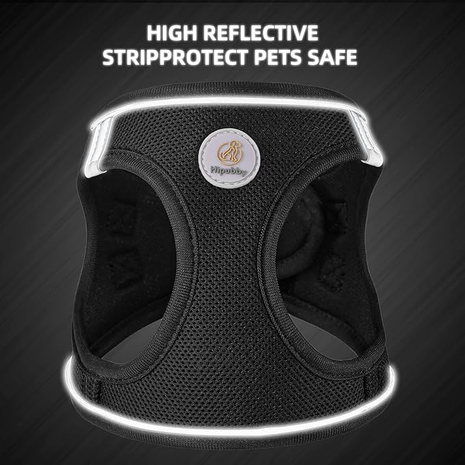 Dog Harness and Leash Set, No Pull Soft Mesh Pet Harness for Small Medium Dogs, Cats - Step in Adjustable Reflective Puppy Harness with Buckle and Double D-Rings - Black, XXS