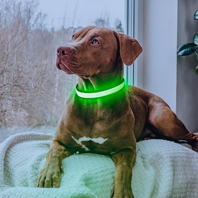Flashseen LED Dog Collar, USB Rechargeable Light Up Dog Collar Lights, Adjustable Comfortable Soft Mesh Safety Dog Collar for Small, Medium, Large Dogs(Large, Neon Green)