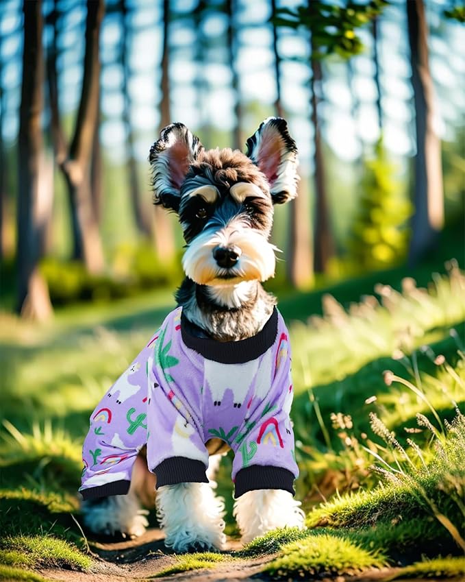 PET SHOW 4 Pack Small Dog Pajamas Spring Dog Clothes for Medium Dogs Girl Boy Soft Stretchy PJs Bee Ladybug Jumpsuit Puppy Floral Onesies Outfits with Sleeve Pets Dachshund Costume(XXL, Spring)