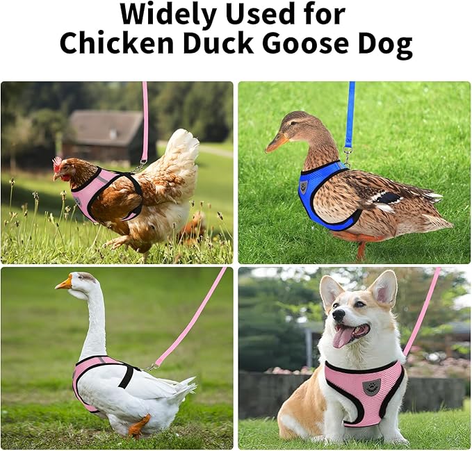 Adjustable Chicken Harness with Leash Small Pet Harness and Leash for Duck Hen Goose Walking, Blue (S)