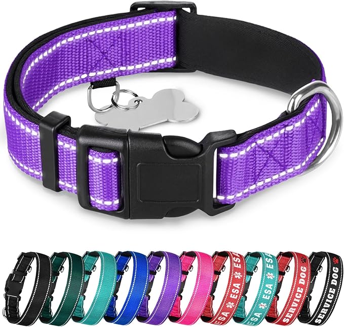 TECEUM Reflective Pet Collar – Purple – S – Extra Soft Padding – Basic Nylon Dog Collar – Quick Release Buckle – Fits Small, Medium and Large Dogs, Puppies, Cats – ESA & Service Dog Options