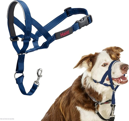 HALTI Headcollar - to Stop Your Dog Pulling on The Leash. Adjustable, Reflective and Lightweight, with Padded Nose Band. Dog Training Anti-Pull Collar for Medium Dogs (Size 2, Cobalt Blue)