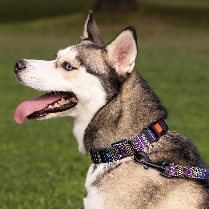 CollarDirect Aztec Dog Leash Nylon Tribal Pattern Cat Pet Leashes for Small Medium Large Dogs Puppy Lead 5 FT Long for Walking (Ethnic Teal, S, New)