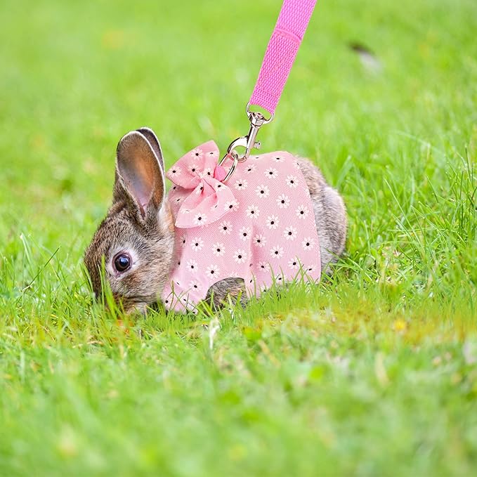 Adjustable Rabbit Harness Leash, Bunny Harness Leash Cute Vest Harness for Rabbit Ferret Bunny Kitten Guinea Pig Walking