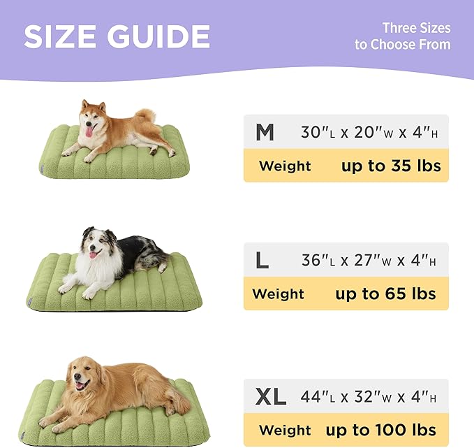 Lesure Cute Orthopedic Dog Bed Large Sized Dog, Waterproof Chic Flat Pet Beds with Removable Washable Cover, Fuzzy Thick Egg Crate Foam Pet Mat for Indoor Use (36" x 27", Green)