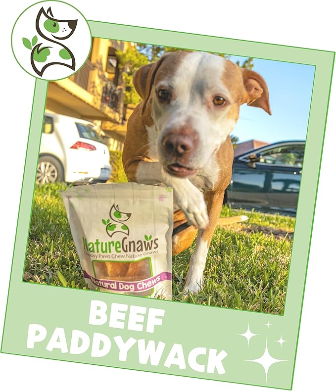 Nature Gnaws Beef Paddywack Tendons for Dogs 5-6" (10 Count) - Long Lasting for Aggressive Chewers - Natural Beef Dog Chew Bones - Rawhide Free (Pack of 2)
