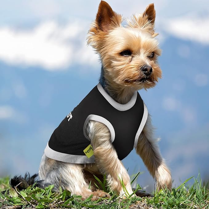 8 Pieces Dog Shirts Boy Funny Printed Puppy Clothes Summer Male Soft Dog Clothes Breathable Pet T Shirts Outfits Puppy Clothing Fit for Small and Medium Dogs(Small)