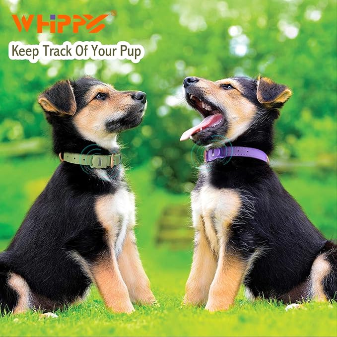 AirTag Leather Dog Collar WHIPPY Padded Apple Air Tag Dog Collar Adjustable Puppy Dog Collar with AirTag Holder Case for Small Medium Large Dog Pet,Green,XS