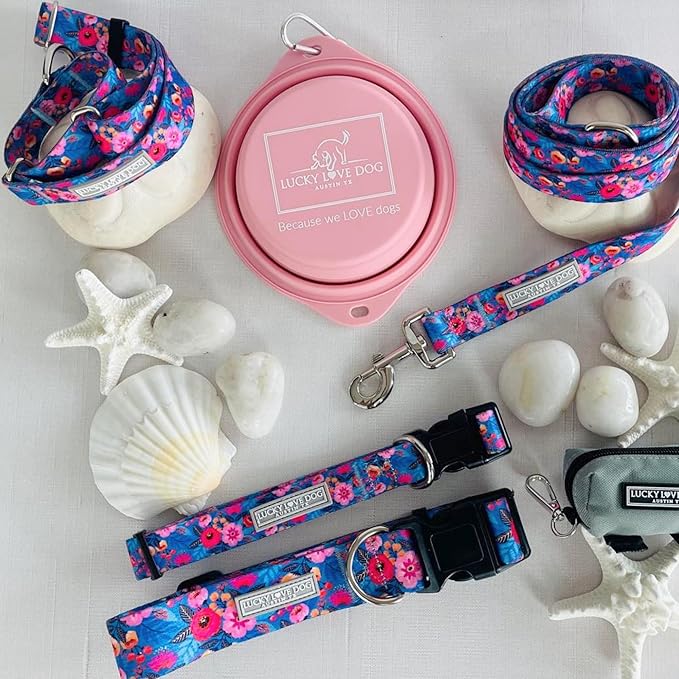 Lucky Love Dog Combo Set, Big Dog Collar & Leash Set for Large Dogs, Colorful Matching Collar and Leash Set for Girl or Boy Dogs, Stripes, Zuzu Combo, Large