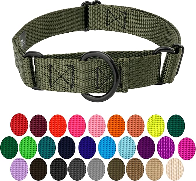 Country Brook Petz Martingale Dog Collar - Heavy-Duty Training Collar with No Buckle - Service Dog Collar for All Pups - Vibrant, Colorful Collection (Dark Olive Drab, 3/4 Inch, Small)