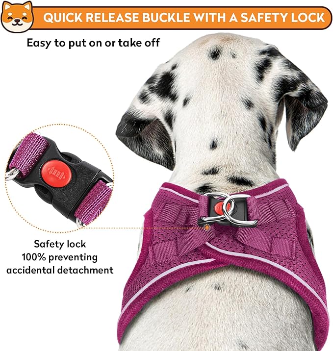 Dog Harness with Leash Set, No-Pull Step-in Reflective Pet Harness with 1 Leash Clips, Adjustable Soft Padded Easy Walk Dog Vest for Small Medium Large Dogs, Cats(Rose Red, Large)
