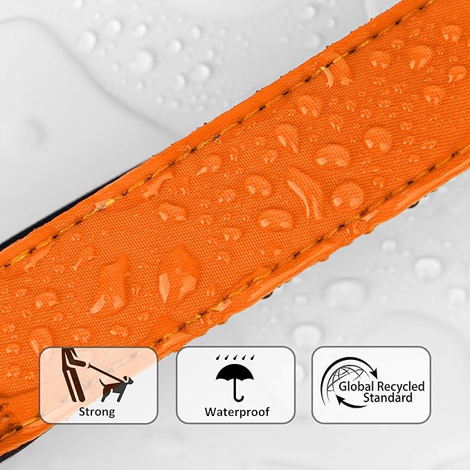 Didog Soft Padded Dog Collar for Large Dogs, Waterproof and Durable Pet Collar with Quick Release Buckle, Light and Breathable for Daily Walking,Orange,L(Neck15-23)