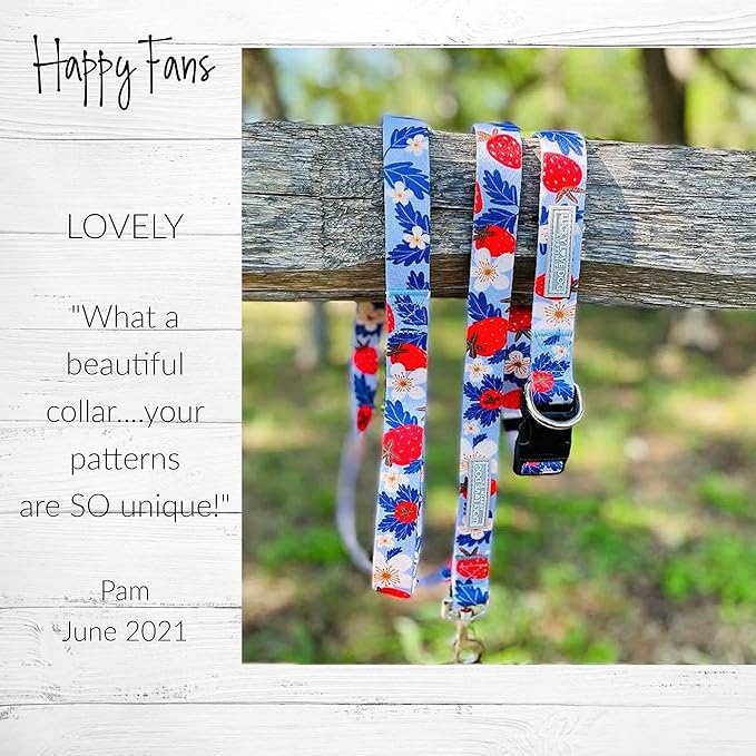 Lucky Love Dog - Easy Click Buckle Dog Collar with Leash Set Combo, Durable & Comfortable for Male & Female Dogs, Pet Collar for Small to Large Dogs, Secure Fit - Sweet Berry Combo, Small