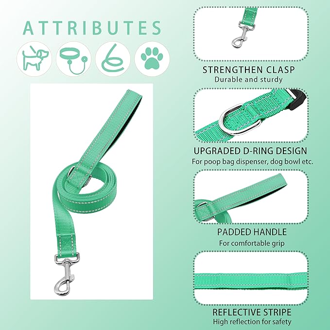 Reflective Dog Collar with Safety Locking Buckle, Adjustable Soft Breathable Nylon Collars for Small, Medium and Large Dogs(Collar+Leash S Width 5/8" Turquoise)