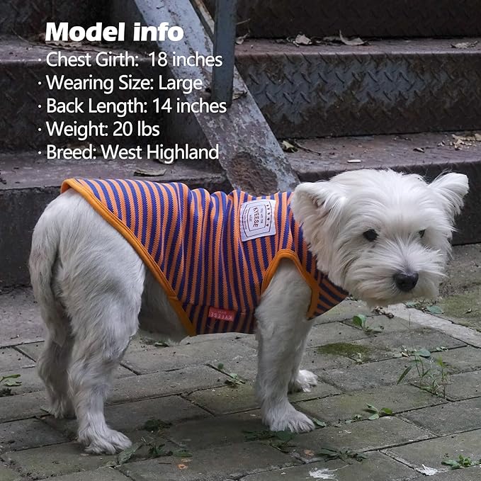 KYEESE 2Pack Dog Shirts Striped for Small Dogs Soft Stretchy T-Shirts Lightweight Tank Top Sleeveless Vest Breathable Cat Shirt, Medium, Orange+Green
