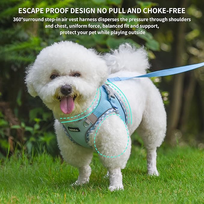 AIITLE Teacup Puppy Harness with Leash - Adjustable Soft Vest with Magic Velcro & Reflective Safety Strips, Easy-Put-On for Poodles, Pomeranians - Gym, Hiking, Travel (Blue, S)