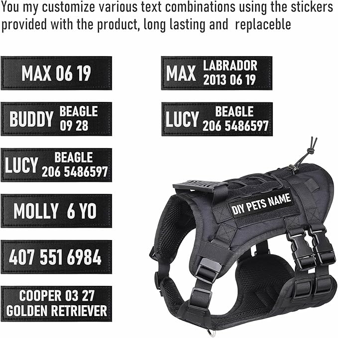 DIY Dog's Name & Everything Dog Harness Leash Set, Personalized No Pull Dog Vest, Custom Tactical Military Dog Harness & Retractable Leash, Outdoor Training Gear for Medium & Large Dogs (Gray, S)