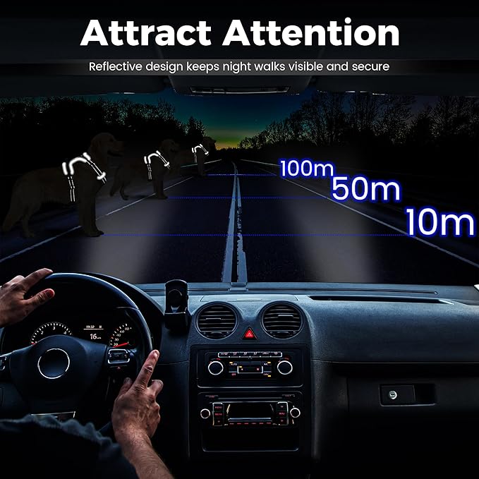 Funfox Dog Harness No Pull, Adjustable Pet Vest Harness Black S with Handle, 2 Leash Clips for Daily Walking Easy Control, Soft Durable Reflective Comfortable for Small Sized Dogs