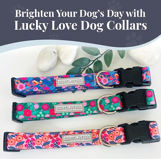 Lucky Love Dog - Easy Click Buckle Dog Collar with Leash Set Combo, Durable & Comfortable for Male & Female Dogs, Pet Collar for Small to Large Dogs, Secure Fit - Floral Rosie Combo, Small