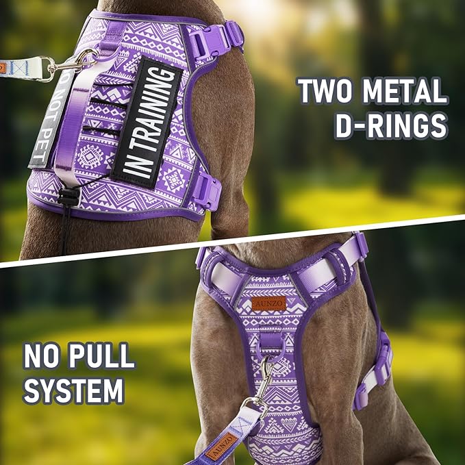 Service Dog Vest Harness with 2 Velcro Patches, No Pull Dog Harness for Walking Training Hiking, Metal D-Rings Easy on/Off Neck Buckle Reflective Strips Soft Padded Handle, Purple