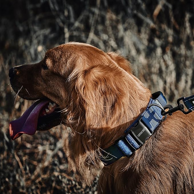 OneTigris Tough Dog Collars, Tactical Dog Collar with Handle, Milltary Adjustable Dog Collar with Heavy Duty Metal Buckle for Training (Medium,Blue)