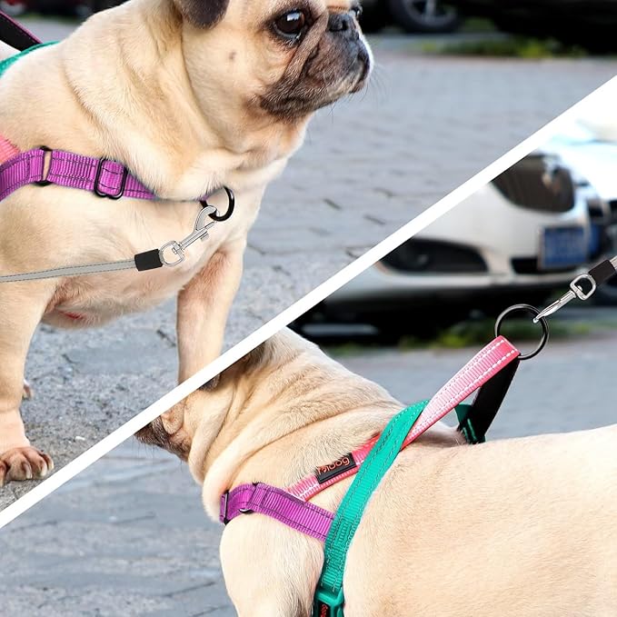 Didog No Pull Dog Harness with Soft Padded Handle, Quick Fit & Lightweight Adjustable Vest Harness, Easy for Training Walking for Small & Medium and Large Dogs(Dark Green,L)